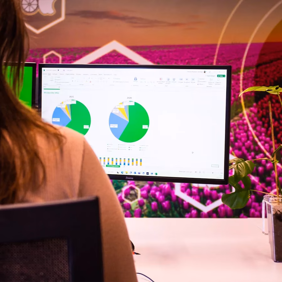 Inzicht in rapportages